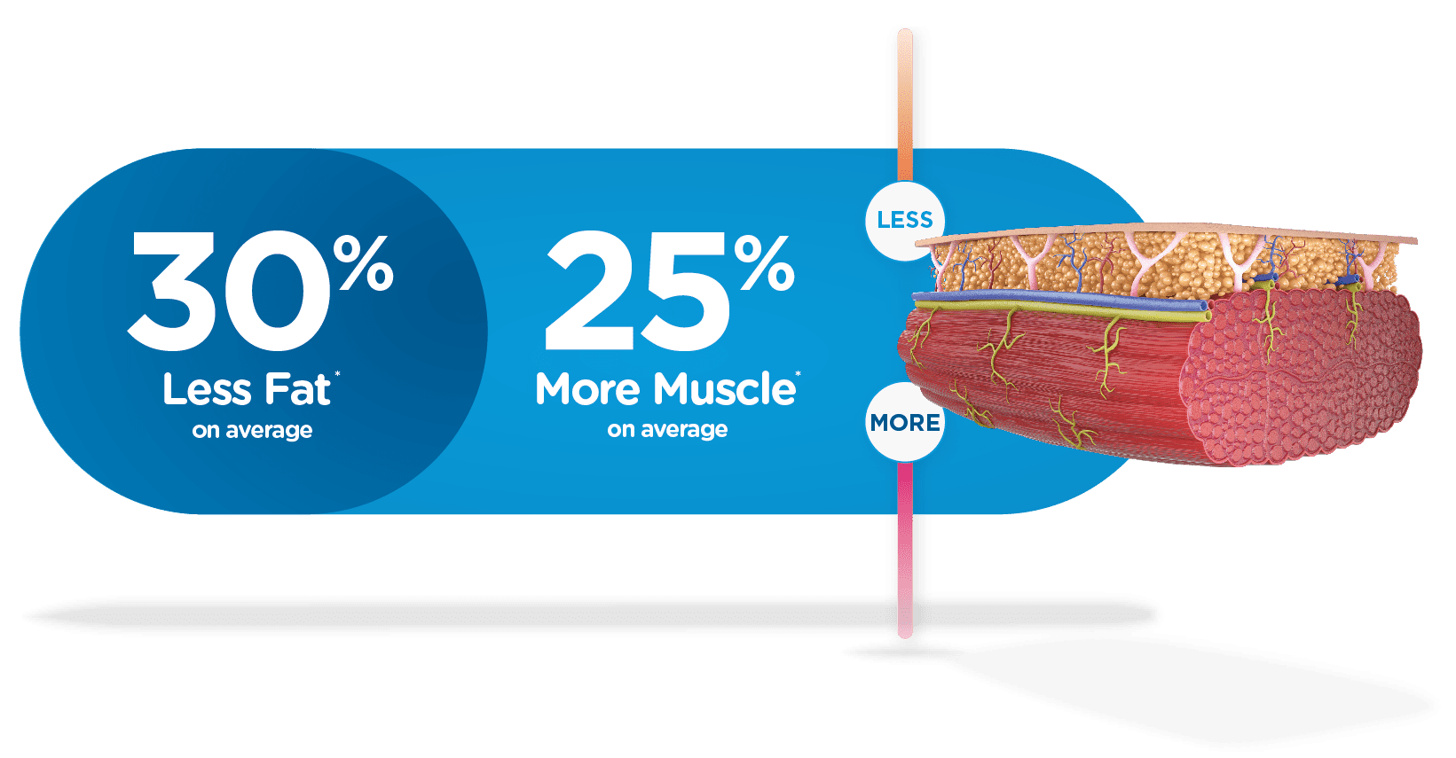 less fat more muscle illustration for Emscuplt NEO